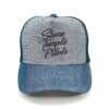 Gorra Stone Temple Pilots