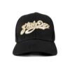 Gorra Steely Dan