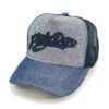 Gorra Steely Dan