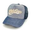 Gorra Steely Dan
