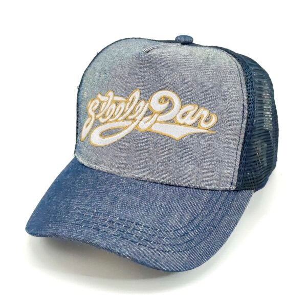 Gorra Steely Dan
