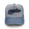 Gorra Steely Dan