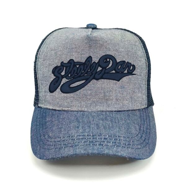 Gorra Steely Dan