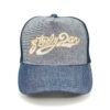 Gorra Steely Dan