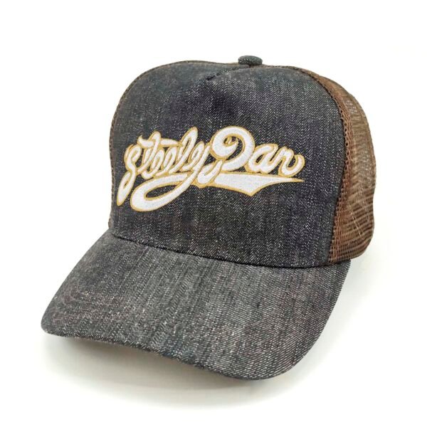 Gorra Steely Dan