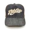 Gorra Steely Dan