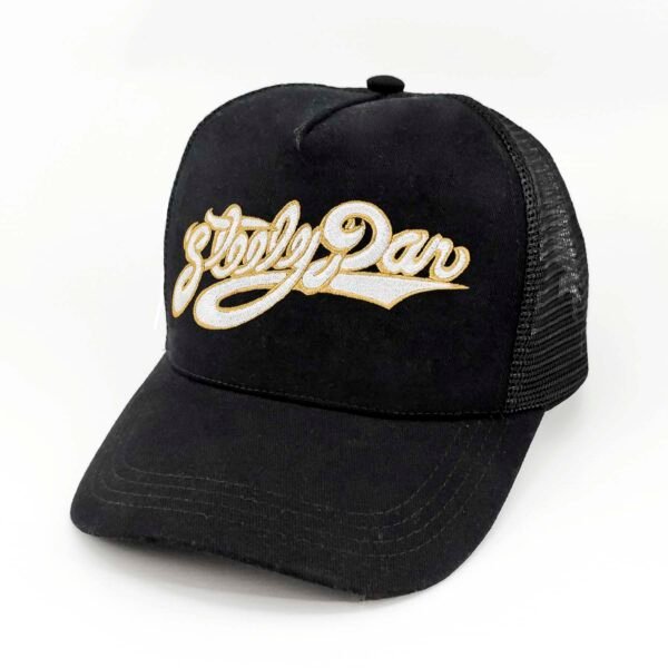 Gorra Steely Dan