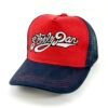 Gorra Steely Dan
