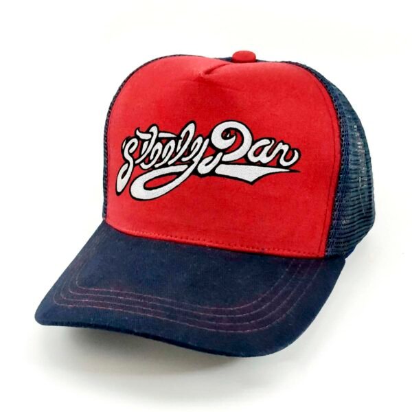 Gorra Steely Dan
