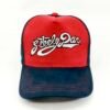 Gorra Steely Dan